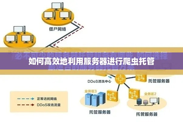 如何高效地利用服务器进行爬虫托管