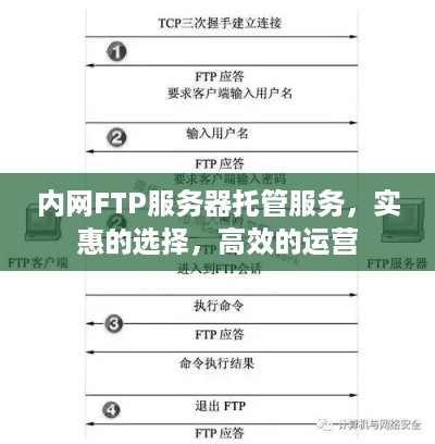 内网FTP服务器托管服务，实惠的选择，高效的运营