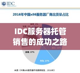 IDC服务器托管销售的成功之路，关键策略与行业趋势分析