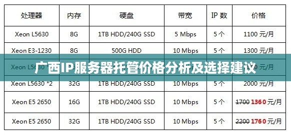 广西IP服务器托管价格分析及选择建议