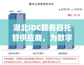 湖北IDC服务器托管供应商，为数字时代提供稳定可靠的基础设施