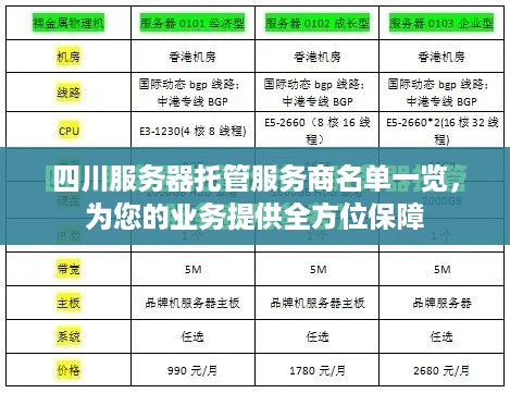 四川服务器托管服务商名单一览，为您的业务提供全方位保障