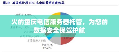 火的重庆电信服务器托管，为您的数据安全保驾护航