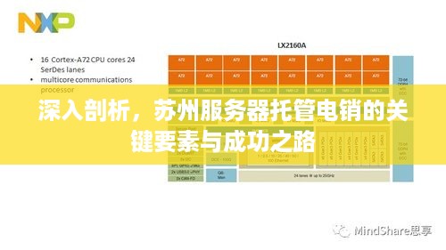 深入剖析，苏州服务器托管电销的关键要素与成功之路