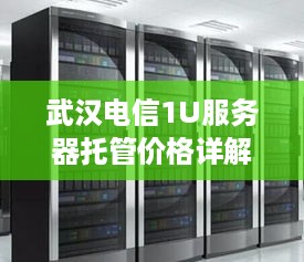 武汉电信1U服务器托管价格详解与选择建议