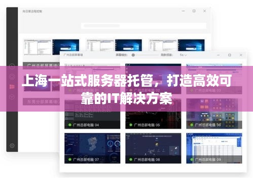 上海一站式服务器托管，打造高效可靠的IT解决方案