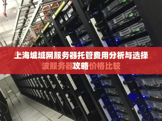 上海城域网服务器托管费用分析与选择攻略