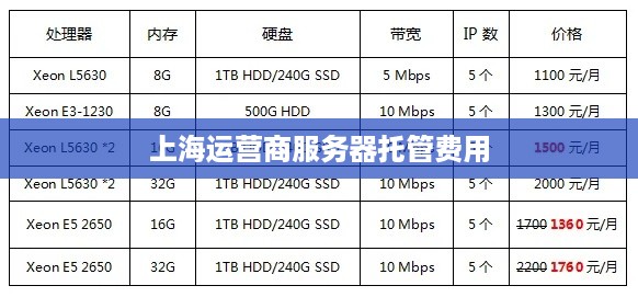 上海运营商服务器托管费用