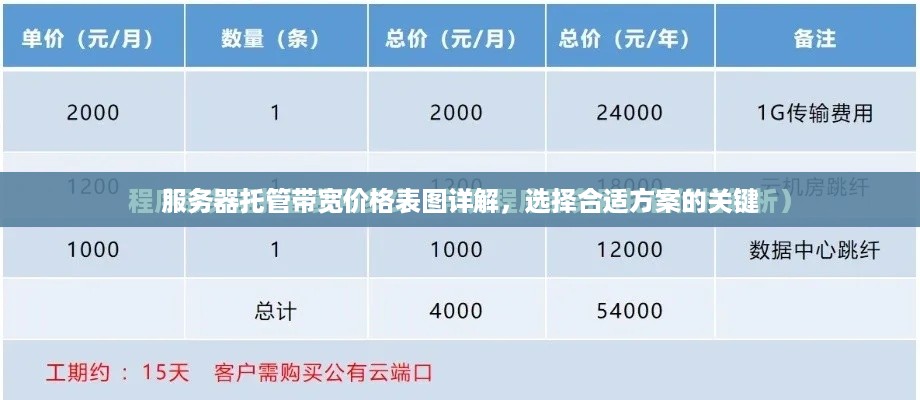 服务器托管带宽价格表图详解，选择合适方案的关键