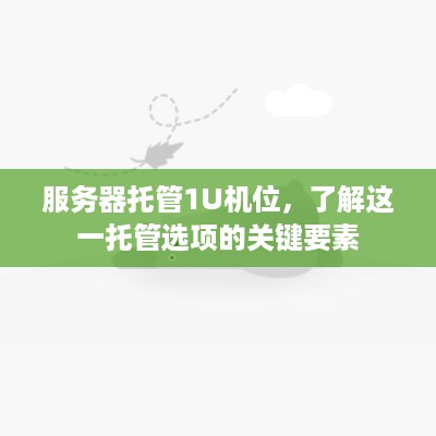 服务器托管1U机位，了解这一托管选项的关键要素