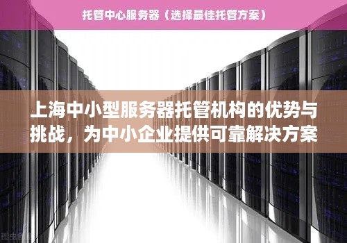 上海中小型服务器托管机构的优势与挑战，为中小企业提供可靠解决方案