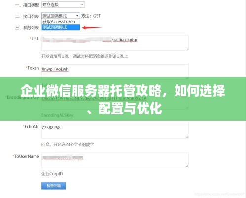 企业微信服务器托管攻略，如何选择、配置与优化