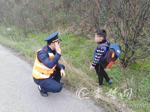 十堰云服务器托管班招聘，打造专业技能，共创美好未来