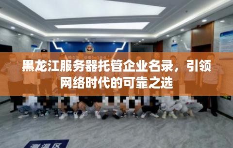 黑龙江服务器托管企业名录，引领网络时代的可靠之选