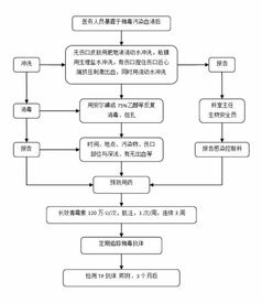 供应商服务器托管流程图详解与实战应用