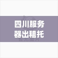 四川服务器出租托管哪里好？——为您提供专业的服务器解决方案