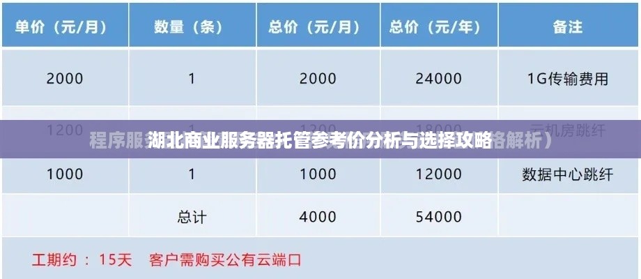 湖北商业服务器托管参考价分析与选择攻略