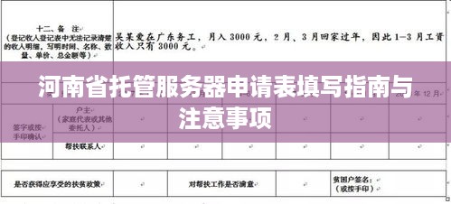 河南省托管服务器申请表填写指南与注意事项