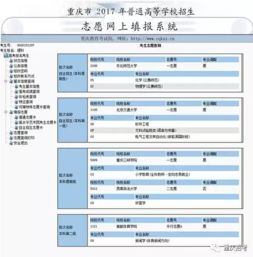 河南省托管服务器申请表填写指南与注意事项