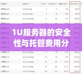 1U服务器的安全性与托管费用分析