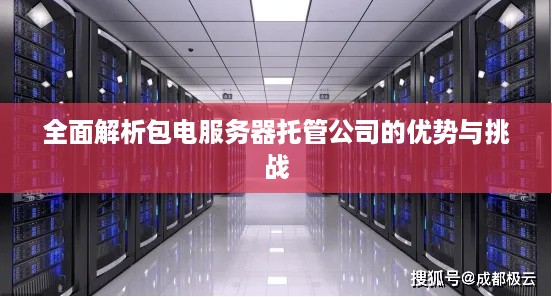 全面解析包电服务器托管公司的优势与挑战