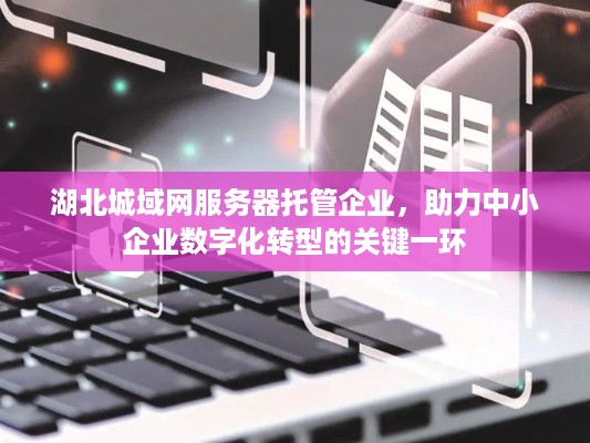 湖北城域网服务器托管企业，助力中小企业数字化转型的关键一环