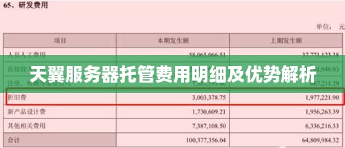 天翼服务器托管费用明细及优势解析