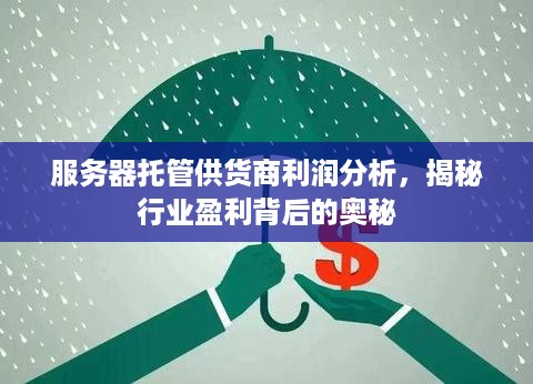 服务器托管供货商利润分析，揭秘行业盈利背后的奥秘