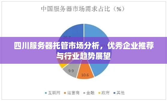 四川服务器托管市场分析，优秀企业推荐与行业趋势展望