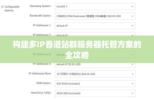 构建多IP香港站群服务器托管方案的全攻略