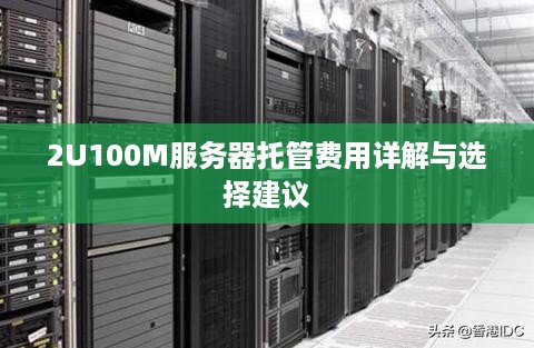 2U100M服务器托管费用详解与选择建议