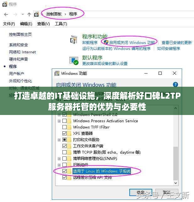 打造卓越的IT基础设施，深度解析好口碑L2TP服务器托管的优势与必要性