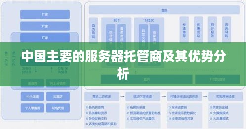 中国主要的服务器托管商及其优势分析