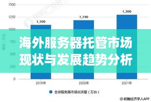 海外服务器托管市场现状与发展趋势分析