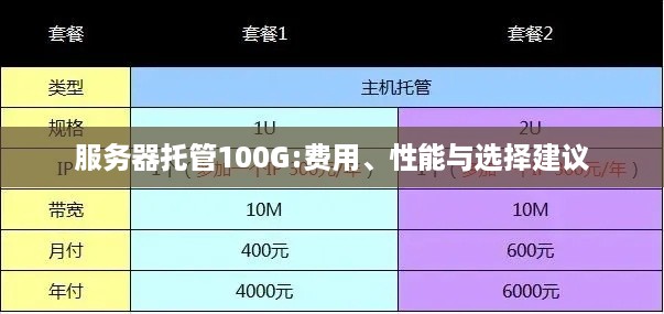 服务器托管100G:费用、性能与选择建议