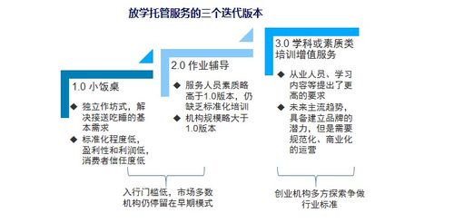 如何解决教育网服务器托管问题，一篇详尽指南