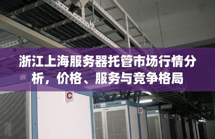 浙江上海服务器托管市场行情分析，价格、服务与竞争格局