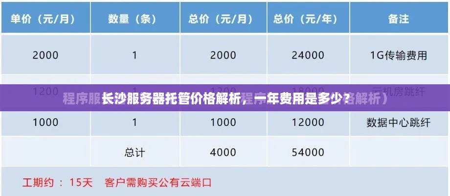 长沙服务器托管价格解析，一年费用是多少？