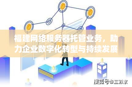 福建网络服务器托管业务，助力企业数字化转型与持续发展