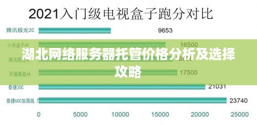 湖北网络服务器托管价格分析及选择攻略