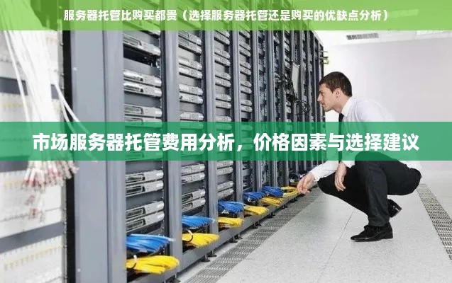 市场服务器托管费用分析，价格因素与选择建议