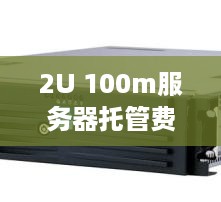 2U 100m服务器托管费用分析与比较