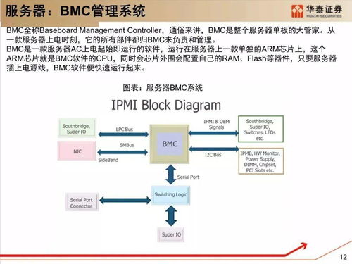 深度解析，本地服务器托管费用构成与价格因素探讨