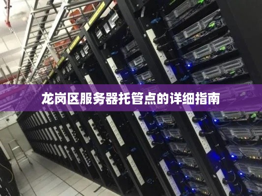 龙岗区服务器托管点的详细指南