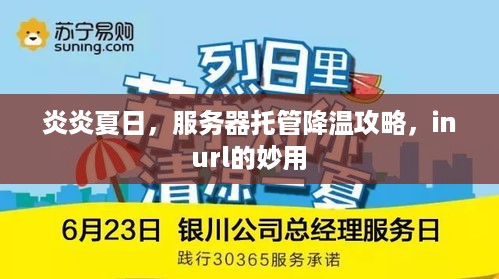 炎炎夏日，服务器托管降温攻略，inurl的妙用