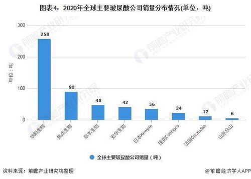 海外服务器托管市场占有率，全球竞争格局与发展趋势