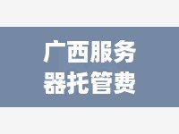 广西服务器托管费用分析与选择建议