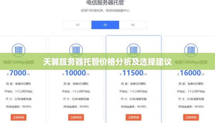 天翼服务器托管价格分析及选择建议