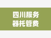 四川服务器托管费用分析，一年多少钱？