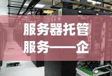 服务器托管服务——企业IT基础设施的坚实后盾